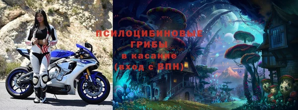 герыч Арсеньев