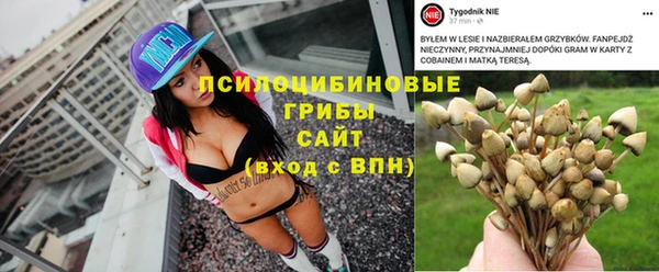 дживик Аркадак