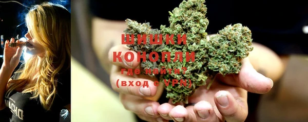прущие грибы Бронницы
