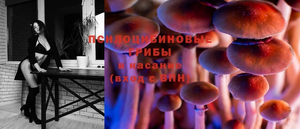 эйфоретик Баксан