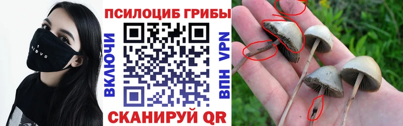 цены наркотик  Опочка  Галлюциногенные грибы прущие грибы 