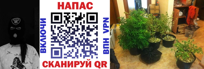 закладка Опочка Бошки Шишки марихуана